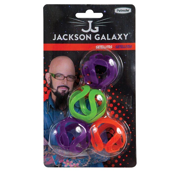 Satellites Jackson Galaxy s Cat Camp